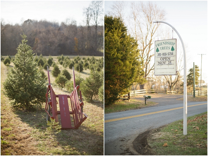 Friendship Trees Christmas Tree Farm