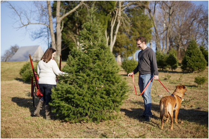 Friendship Trees Christmas Tree Farm