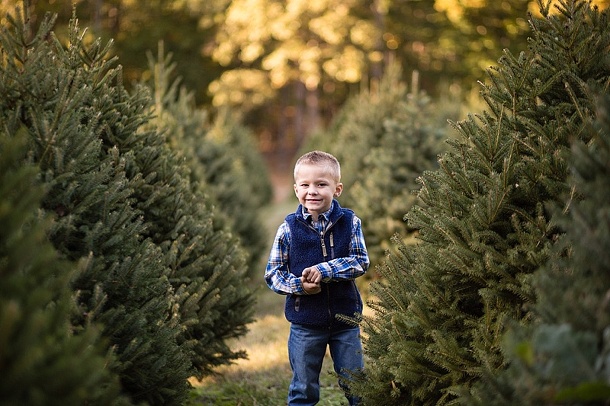 christmas-tree-farm-2
